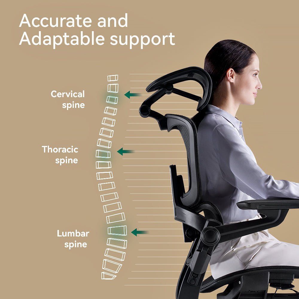 HINOMI H1 Pro Ergonomic Chair(Test)