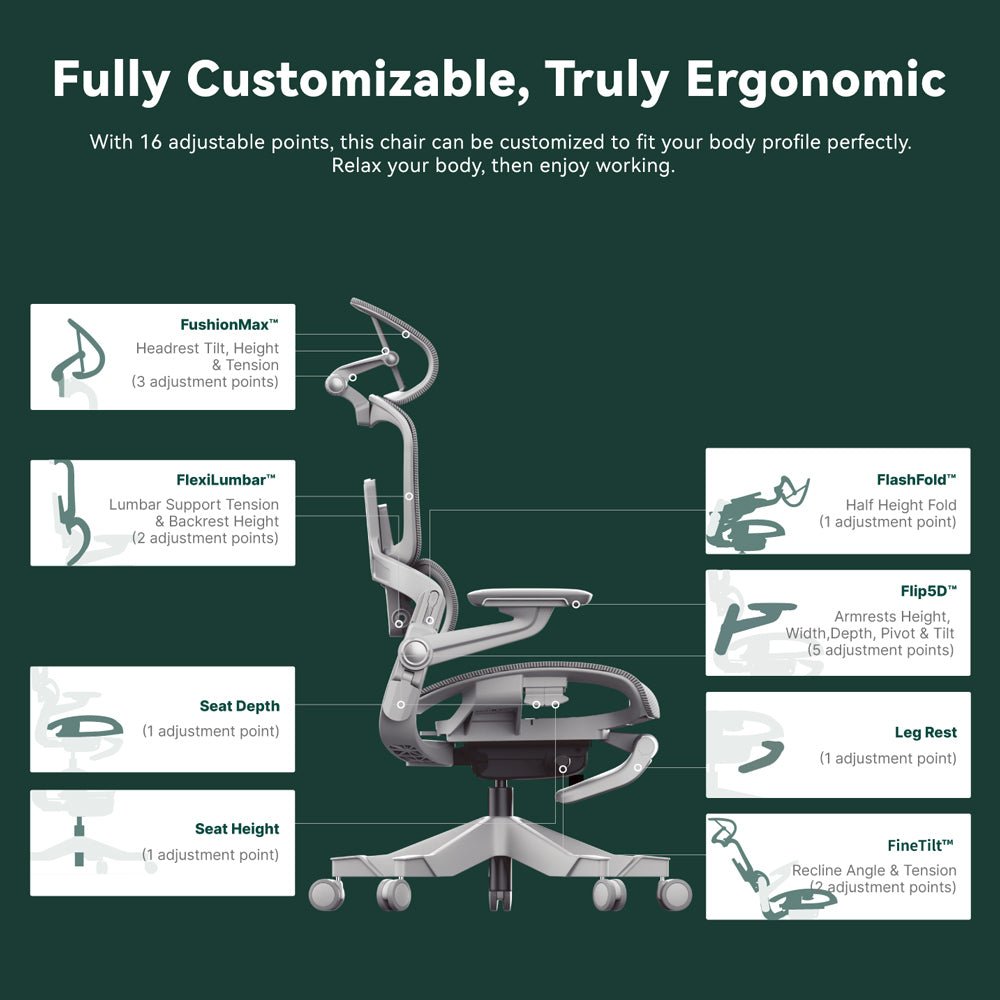 HINOMI H1 Pro Ergonomic Chair(Test)
