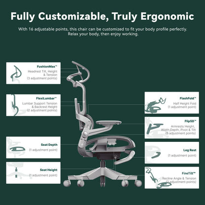 HINOMI H1 Pro Ergonomic Chair(Test)
